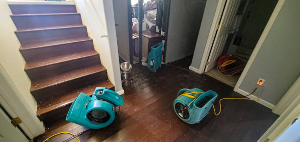 Best Sewage cleanup and water damage restoration  in Baywood, NY