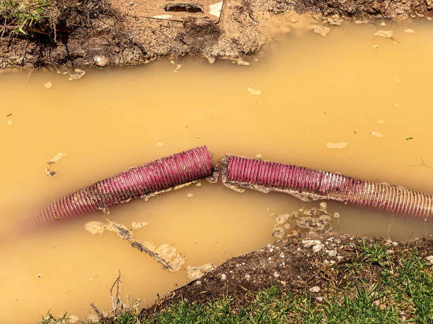 Best Residential water damage restoration  in Baywood, NY